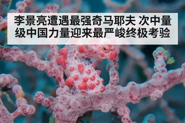 李景亮遭遇最强奇马耶夫 次中量级中国力量迎来最严峻终极考验
